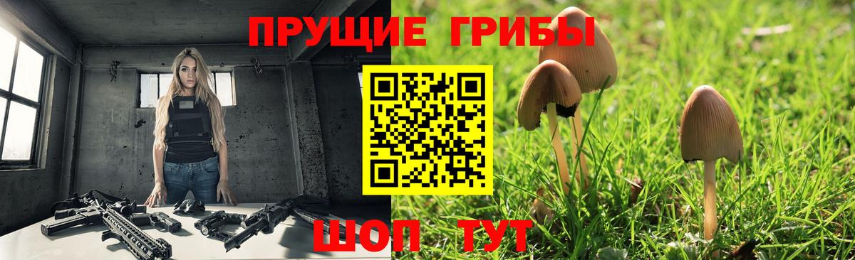 Галлюциногенные грибы Psilocybine cubensis  наркошоп  Ликино-Дулёво  Вход с VPN 